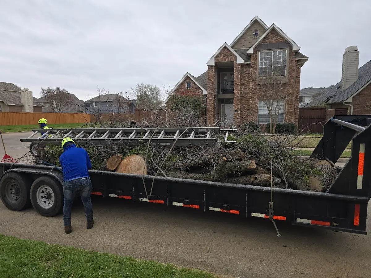 Expert Tree Fertilization with proper safety equipment in Champion